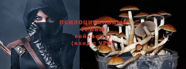 синтетический гашиш Бородино