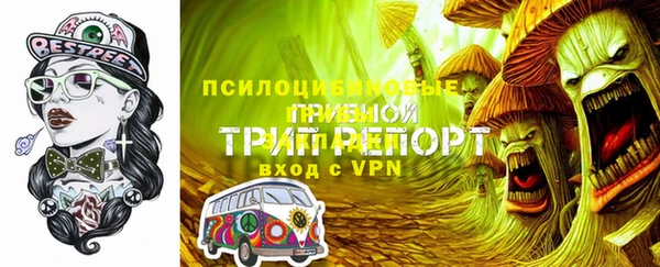 мдпв Бугульма