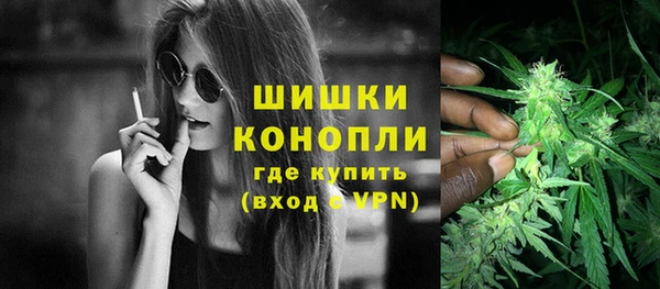 шишки Бронницы