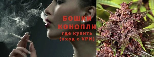 шишки Бронницы