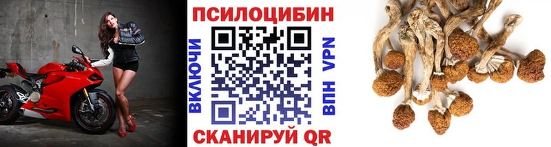 Галлюциногенные грибы мицелий Валдай